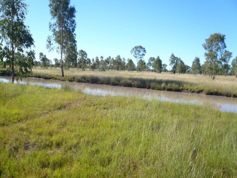 216 KOFOEDS ROAD, Tara QLD 4421