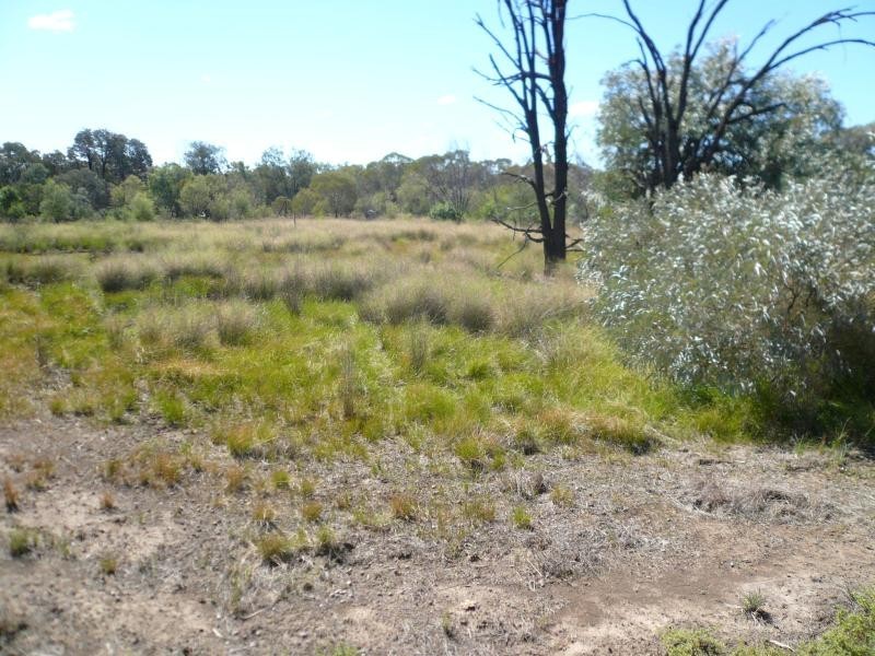 Lot 56/202 KYTES ROAD, Tara QLD 4421