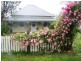 21 VINE STREET, Dorrigo NSW 2453