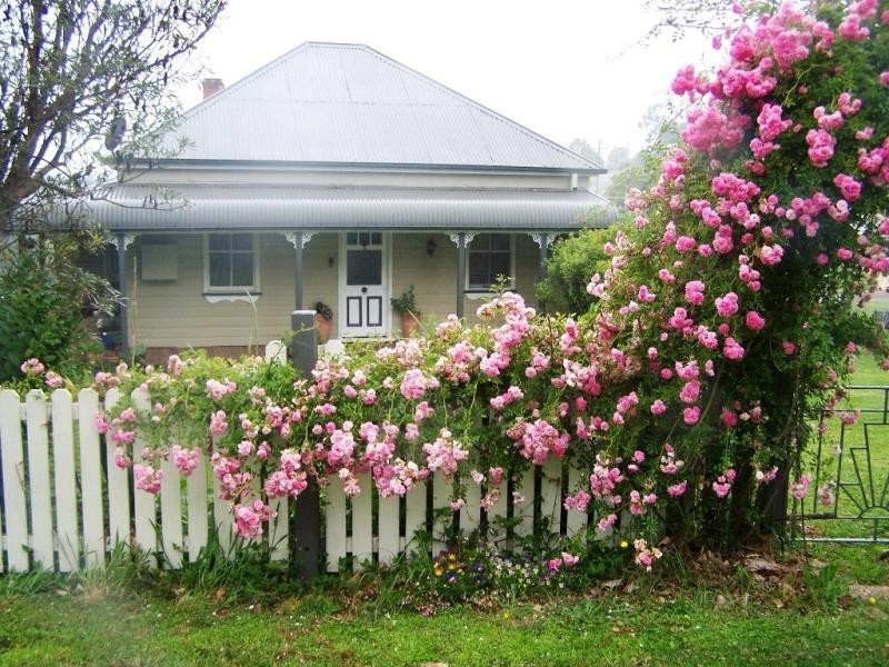 21 VINE STREET, Dorrigo NSW 2453
