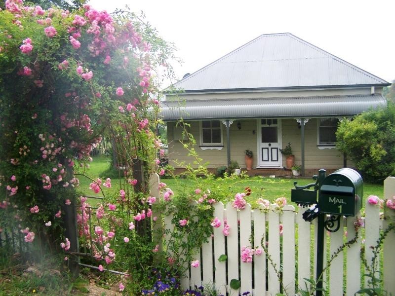 21 VINE STREET, Dorrigo NSW 2453