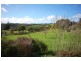 21 VINE STREET, Dorrigo NSW 2453
