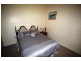 21 VINE STREET, Dorrigo NSW 2453
