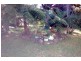 21 VINE STREET, Dorrigo NSW 2453