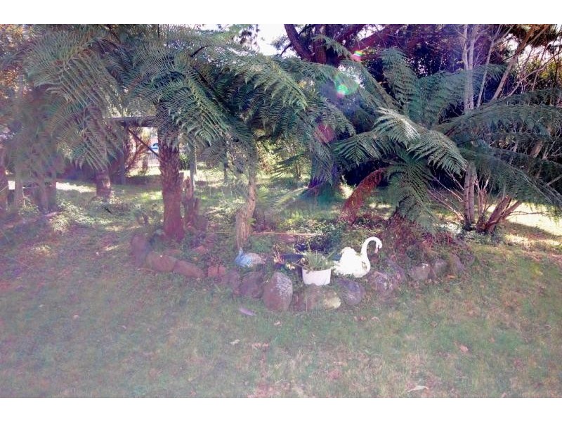 21 VINE STREET, Dorrigo NSW 2453