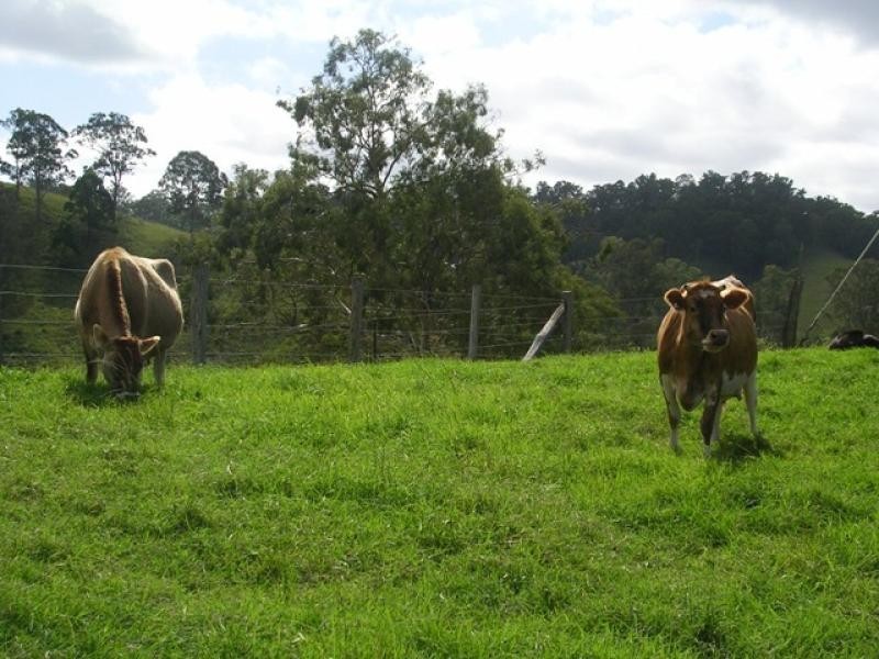 Kyogle NSW 2474