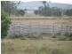 534 ACRES GRAZING BLOCK, Jandowae QLD 4410