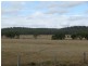 534 ACRES GRAZING BLOCK, Jandowae QLD 4410
