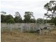 534 ACRES GRAZING BLOCK, Jandowae QLD 4410