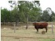 534 ACRES GRAZING BLOCK, Jandowae QLD 4410