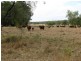 534 ACRES GRAZING BLOCK, Jandowae QLD 4410
