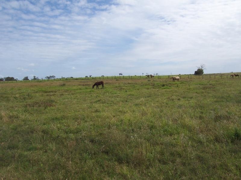 357 Dahls Road, Calavos QLD 4670