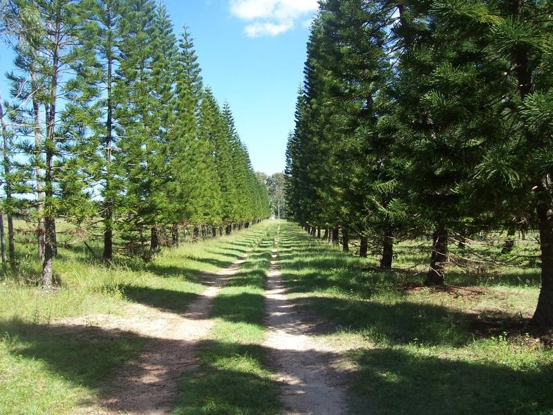451 Boughtons Road, Bucca QLD 4670