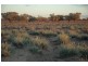 Quilpie QLD 4480