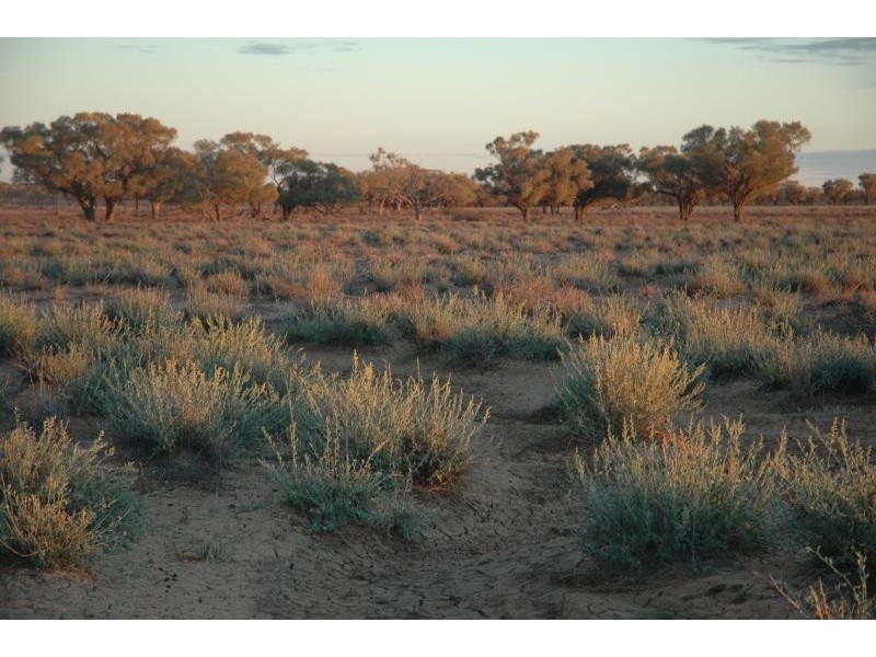 Quilpie QLD 4480