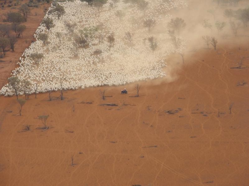 Quilpie QLD 4480