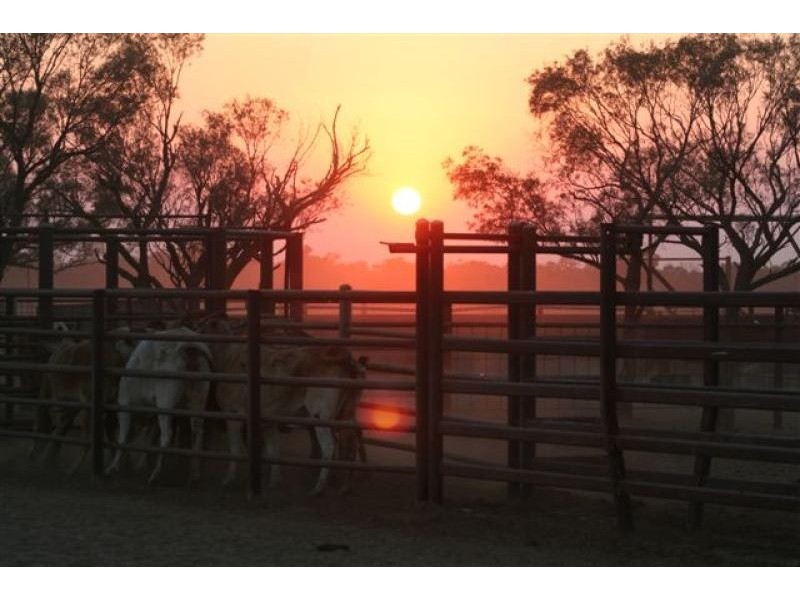 Quilpie QLD 4480