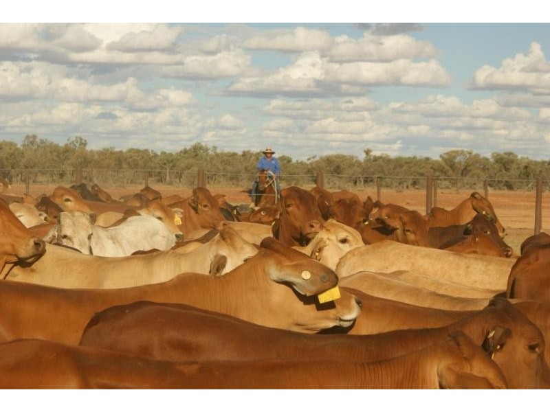 Quilpie QLD 4480