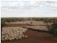 Quilpie QLD 4480