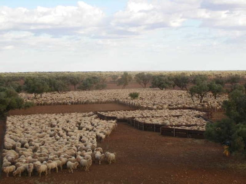 Quilpie QLD 4480