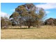 55 PIPECLAY, Ebor NSW 2453