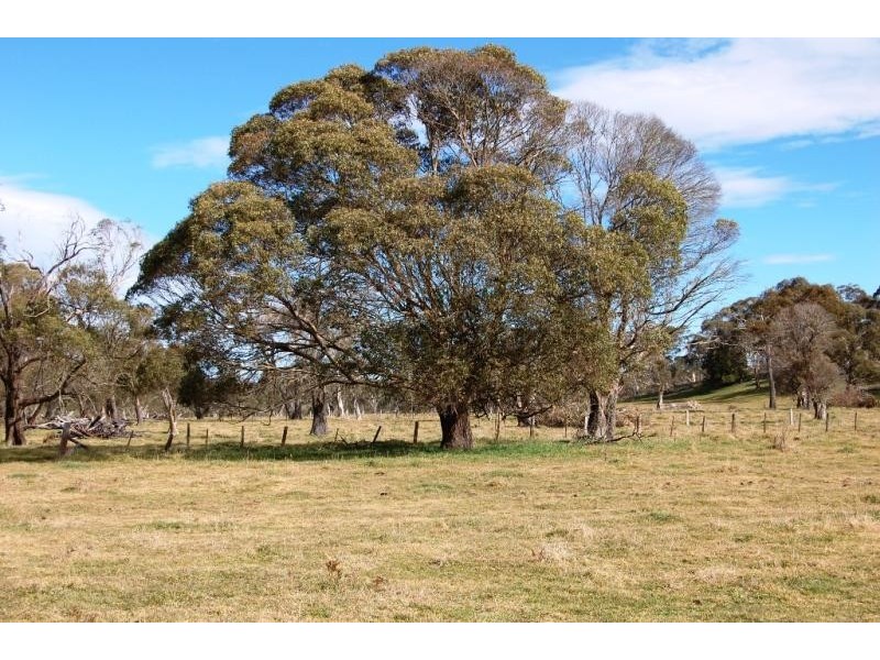 55 PIPECLAY, Ebor NSW 2453