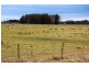 55 PIPECLAY, Ebor NSW 2453