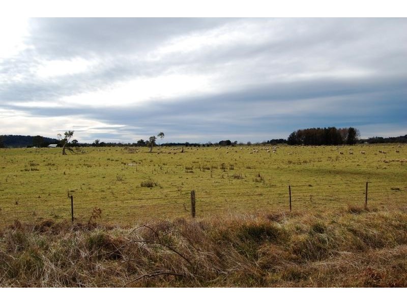 55 PIPECLAY, Ebor NSW 2453