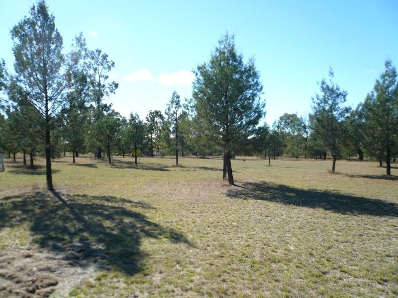 1733 TARA KOGAN ROAD, Tara QLD 4421