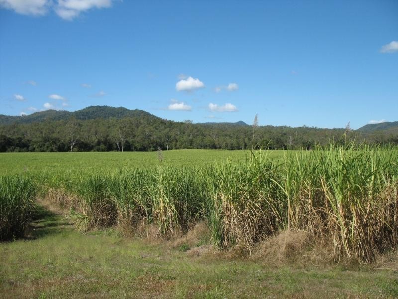 234 Rogers Road, Mackay QLD 4740