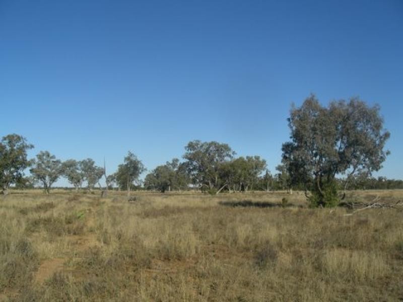 Bollon QLD 4488