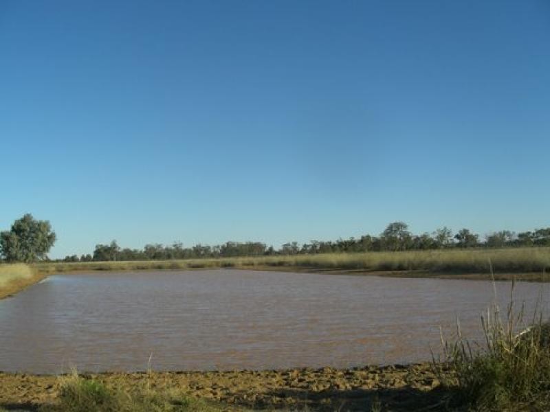 Bollon QLD 4488