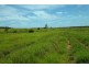 Roma QLD 4455