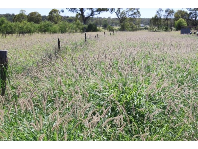 Roma QLD 4455