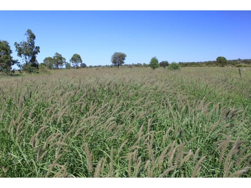 Roma QLD 4455