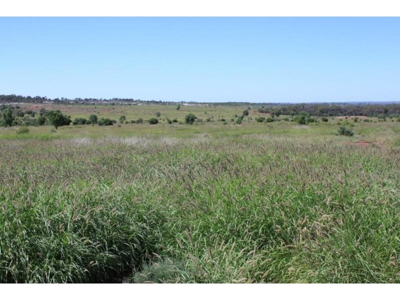 Roma QLD 4455
