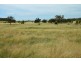 Roma QLD 4455