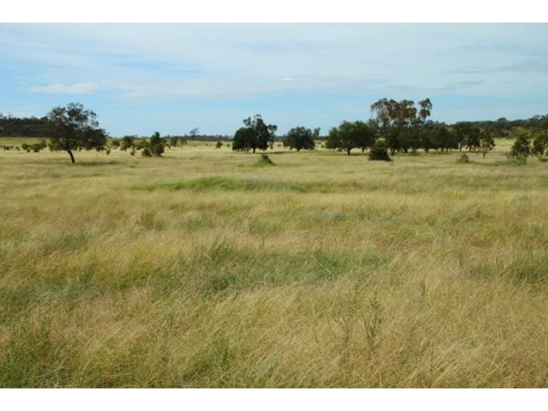 Roma QLD 4455