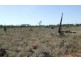 Mitchell QLD 4465