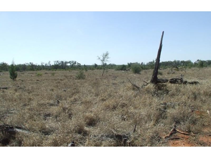 Mitchell QLD 4465