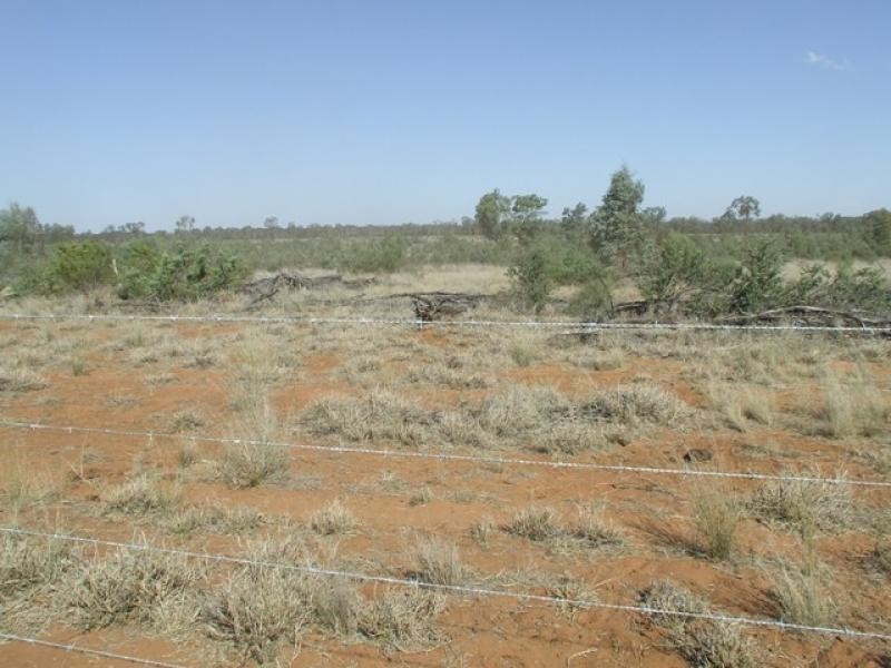 Mitchell QLD 4465