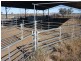 WILLACORA 50 KM SE, Cunnamulla QLD 4490