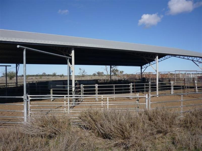 WILLACORA 50 KM SE, Cunnamulla QLD 4490