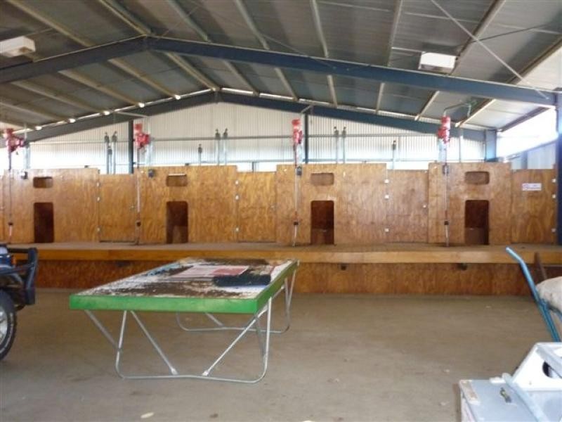 WILLACORA 50 KM SE, Cunnamulla QLD 4490