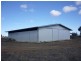 WILLACORA 50 KM SE, Cunnamulla QLD 4490
