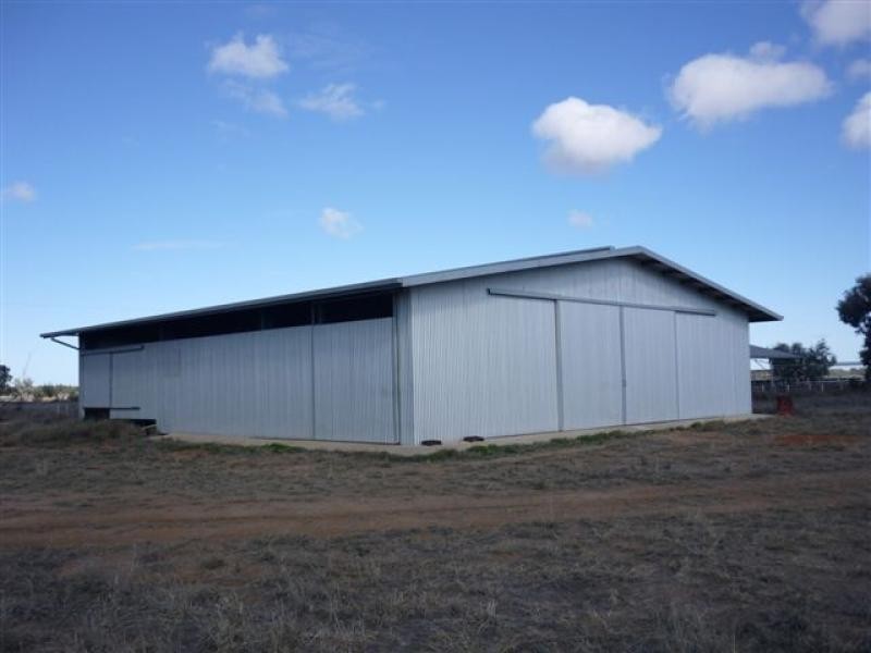 WILLACORA 50 KM SE, Cunnamulla QLD 4490
