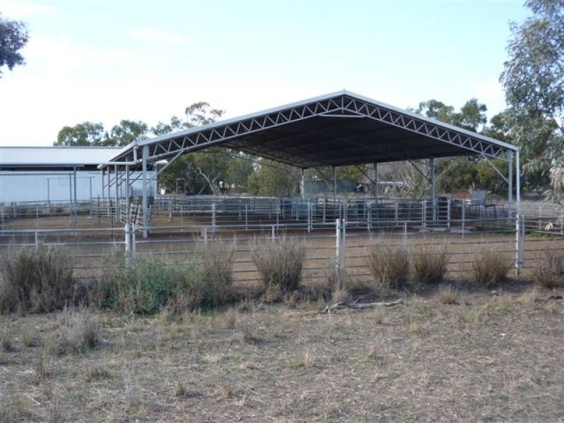 WILLACORA 50 KM SE, Cunnamulla QLD 4490