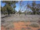 WILLACORA 50 KM SE, Cunnamulla QLD 4490