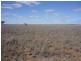WILLACORA 50 KM SE, Cunnamulla QLD 4490