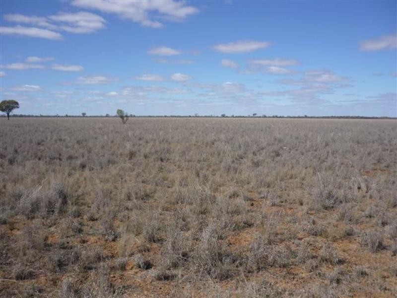 WILLACORA 50 KM SE, Cunnamulla QLD 4490